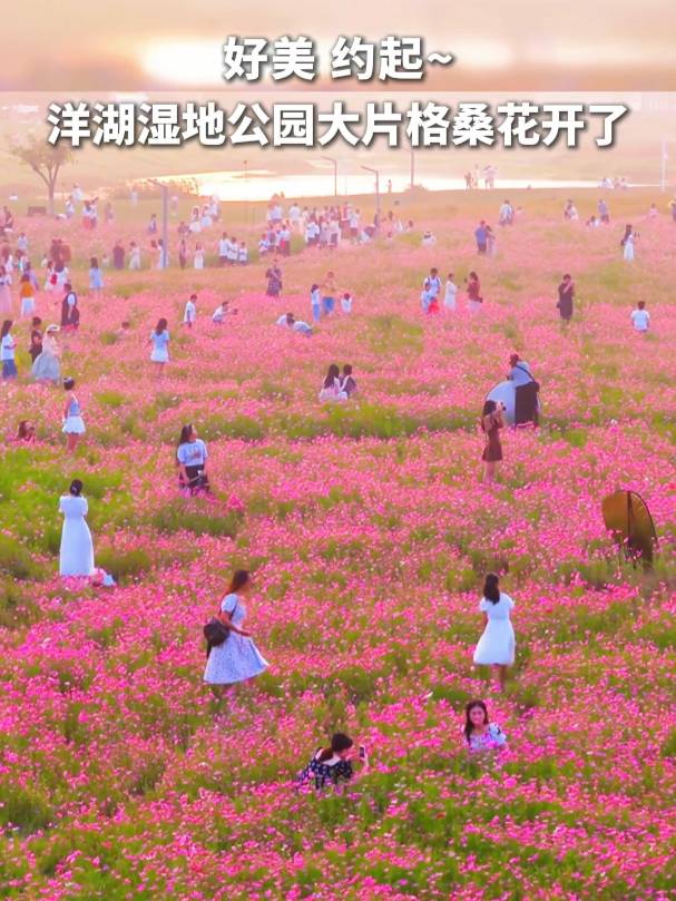 潭sع@Ƭ_λw@ضڻֵʢڳm(x)ѮTƱMLɳ潭^(q)ͬWĔz